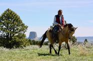 Rider in a field 