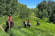 Riders exploring the surroundings 