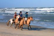 Uruguay Horse Riding