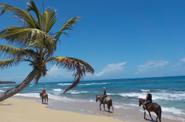 Caribbean Beaches