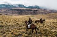 Patagonia Riding