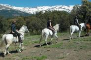 Spain Horse Riding