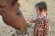 Greeting a horse at the ranch 