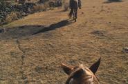 Mexico Horse Riding