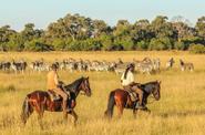 Botswana Riding