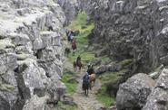 Iceland Horse Riding