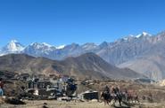 Nepal Horse Riding