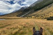 Riding towards the mountains 