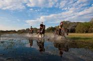 Botswana Riding