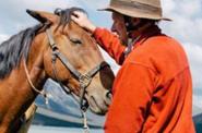 Guide with a horse 