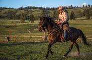 Riding atop a horse 