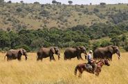 Kenya Riding Safari