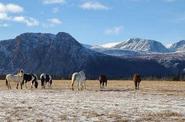 Yukon landscape 