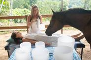 Healing session with horses 