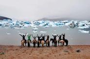 Greenland Horse Riding