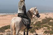 Horse riding in a desert