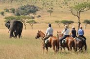 Kenya Riding Safari