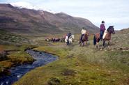 Iceland Horse Riding