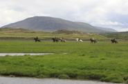 Iceland Horse Riding