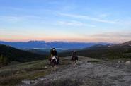 Equestrians in a field 