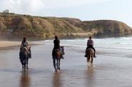 Horseriding on a beach