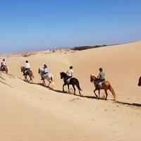 Desert horseback riding