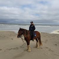 Horse riding in the Netherlands