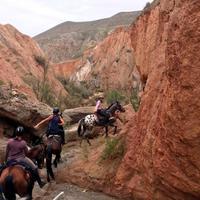 Spain Horse Riding