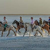 Botswana Riding