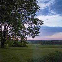 Local landscape 