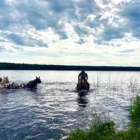 Crossing the river atop a horse