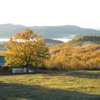 farm house