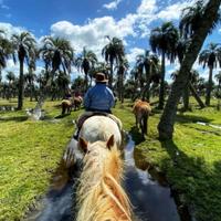 Uruguay Horse Riding