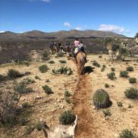 Arizona Horseriding