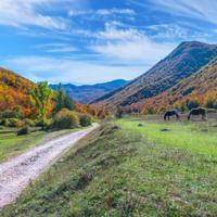 Abruzzo Hational Park