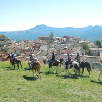 Horse riding trip in Italy