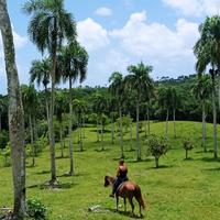 Dominican Riding