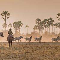 Botswana Riding