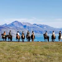 Greenland Horse Riding