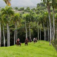 Dominican Riding