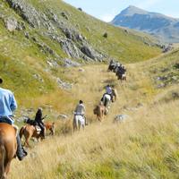 Horse riding trail in Europe