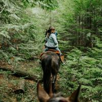 Riding through the forest 