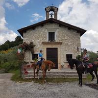 Horses in a historic town