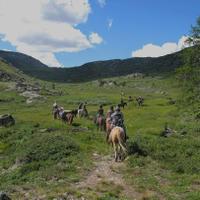 Mongolia Riding