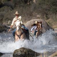 Mexico Horse Riding