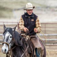 Rider atop a horse 