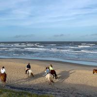 Uruguay Horse Riding