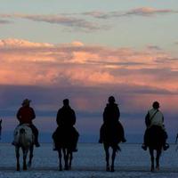 Botswana Riding