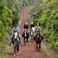 Faial Riding