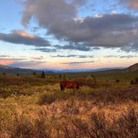 Yukon landscape 